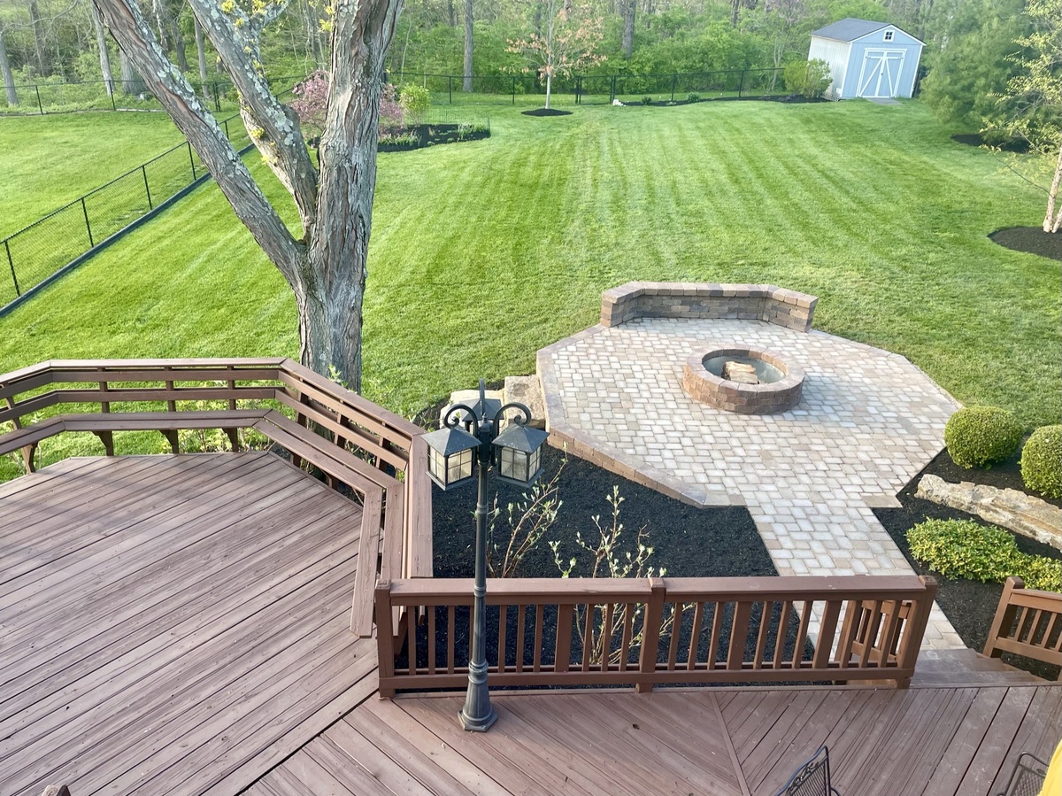 Freshly cut lawn